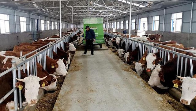 通辽市科尔沁区：扎实推动农畜产业发展